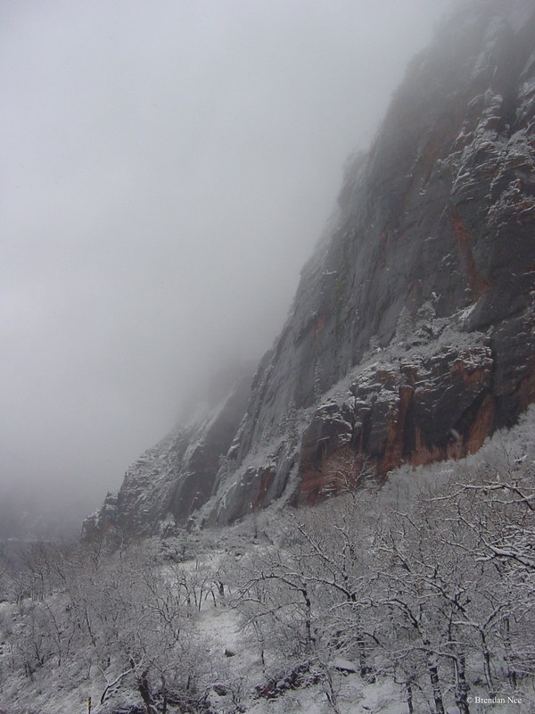 Zion National Park - Zion National Park 1-05 497